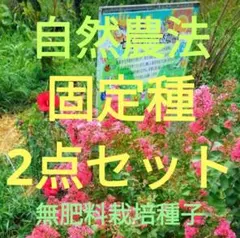 monon4444様 リクエスト 2点 まとめ商品