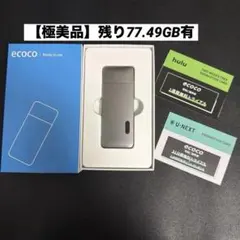ecoco Wi-Fi Global Bands Dongle TD10 本体 - メルカリ