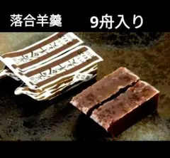 元祖 落合羊羹 9舟入り 賞味期限2026.10.20です！のサムネイル