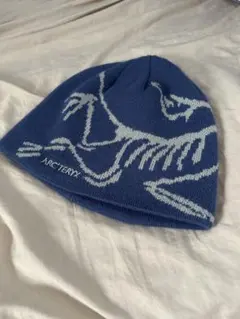 ARC'TERYX FERNIE TOQUE ニット帽のサムネイル