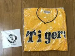 Item thumbnail for item 41d42bf7-ceb9-42d5-880e-1964b1dfcf05