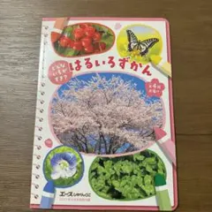 Item thumbnail for item 3d894e85-8a28-4268-a923-fd3f95b1acaf