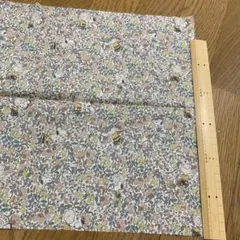 Item thumbnail for item 6b00b3cd-a09b-4abc-b8cd-70e4caef0885