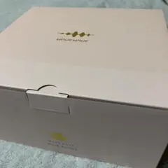 Item thumbnail for item 6f9bf53c-011a-4aaa-bd65-026310c70ec9