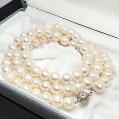 Item thumbnail for item aa6d5685-d00a-4e0b-b957-e5f26101f439