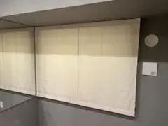 Item thumbnail for item 9bf08f9c-0f46-4b43-b009-38d601eb45b1