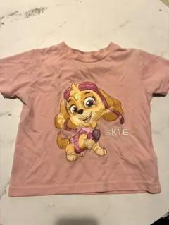 スカイ Tシャツ ピンク　100