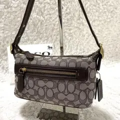 【未使用級】コーチ ワンショルダーバッグ ジャガード ブラウン グレー 保存袋