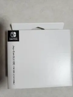 ニンテンドースイッチ あつまれどうぶつの森
