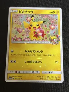 ポケモンカード　ピカチュウ　プロモ　みんなでいわう