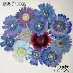 Item thumbnail for item 00db2e2d-9035-4955-b04d-d8caaaffccc1