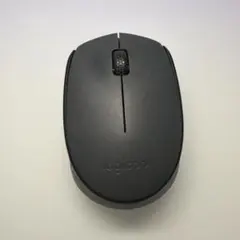 Logicool M171 ワイヤレスマウス 本体 レシーバー付き