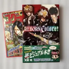2026年最新】reborn colore ver animationの人気アイテム - メルカリ