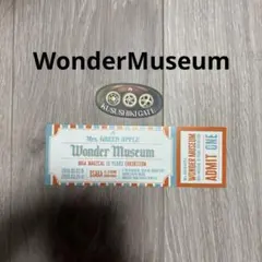 N*U様 Mrs. GREEN APPLE Wonder Museum 入場券&
