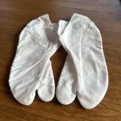 Item thumbnail for item 1c2554bd-c255-48a5-a0db-5650329e6485