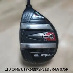 中古ゴルフアイアン8本 （コブラ セグシオ スリクソン タイトリスト