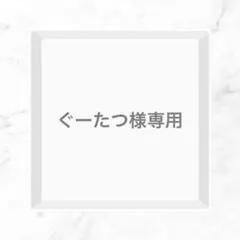 ぐーだつ様 リクエスト 2点 まとめ商品