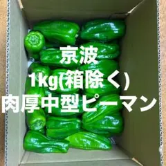 【農薬,化学肥料最小限】京波ピーマン1kg朝採り当日発送のサムネイル