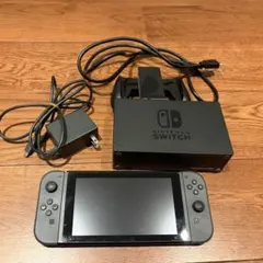 Nintendo Switch 本体 グレー ＋ microSD64GB付