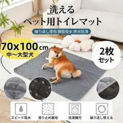 防水 速乾 XLサイズ グレー１枚 ペット用おしっこシーツ 滑り止め付き 犬 猫のサムネイル