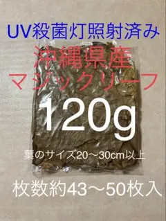 【まちゃこさん専用】沖縄県やんばる産マジックリーフ 120 UV殺菌灯照射済み①