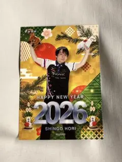 桔梗様 リクエスト 2点 まとめ商品