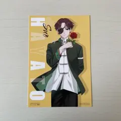 蘇枋隼飛 ポストカード