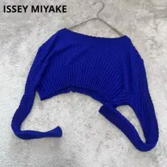 美品　イッセイミヤケ　クロップド　ドルマン　ショート　プリーツニット　春ニットのサムネイル