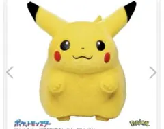 ポケットモンスター ポケモン30周年記念 おかえり！ピカチュウ1/1