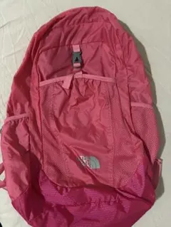 THE NORTH FACE ピンク メッシュバックパック