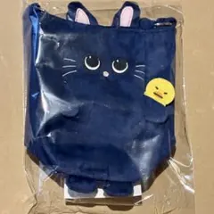 RIIZE 東京ドーム ウォンビン ファンライトバッグ ペンライトバッグ