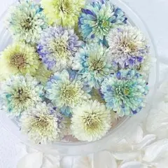 さんちゃん24様 リクエスト 3点 まとめ商品