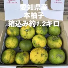 本日限定/枚数増量中】無農薬 柚子の葉 140枚 - メルカリ