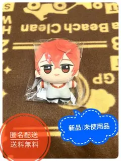 映画 ギヴン 柊mix ちびぐるみ ぬいぐるみ 佐藤真冬 - メルカリ