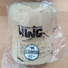 Item thumbnail for item 884406f6-8641-429a-8a8b-8940a58e4526