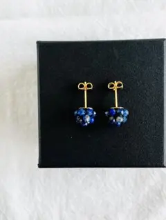 【天然石刺繍／ピアス】粒々ラピスラズリ