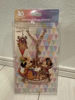 ディズニー 40周年 バッグチャーム ミッキー ミニー 東京ディズニー限定
