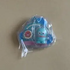 サンリオキャラクターズ パッケージチャーム＆チョコボーロ ハンギョドン