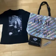 れ*い様 ちゃんみな AOD4 FINAL Tシャツ ブラック Lサイズ - メルカリ