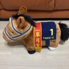 ソールオリエンス　サラブレッドコレクション ふわふわBIG