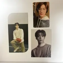 seventeen セミコロン ディノ トレカ セット