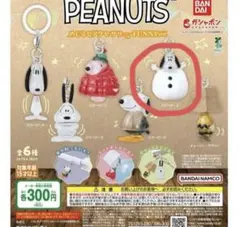 PEANUTS めじるしアクセサリー