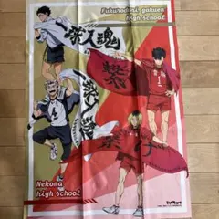 ハイキュー！！ くじ B賞