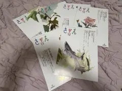 2026年最新】さかえ 糖尿病の人気アイテム - メルカリ