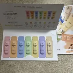 Elegance モデリングカラー ベース トライアルセット