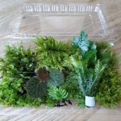 ノラ様 リクエスト 2点 まとめ商品