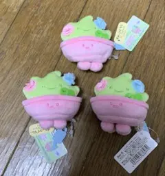 すみっコぐらしコレクション　かんようしょくぶつ　3点