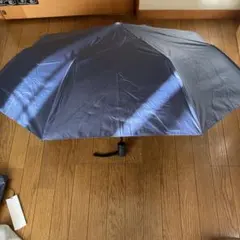 Item thumbnail for item c88fb963-82d3-402b-9fea-f14e7de45153