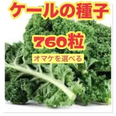 メル40709様 リクエスト 3点 まとめ商品