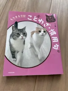 Item thumbnail for item f5824c34-36b3-4ecc-bd89-c4d587e8ae78